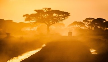 A safari jeep driving into the sunset on a dirt road in Africa