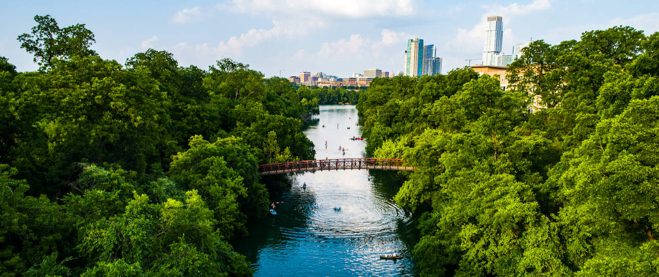 The lush greenery outside of Austin, Texas near Barton Springs