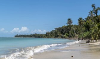 sandy beach with palm trees in Costa Rica