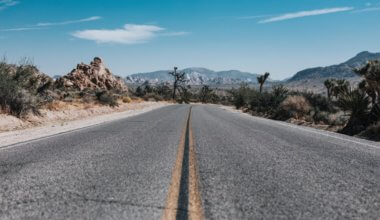 An open road in Joshua Tree National Park, California, USA