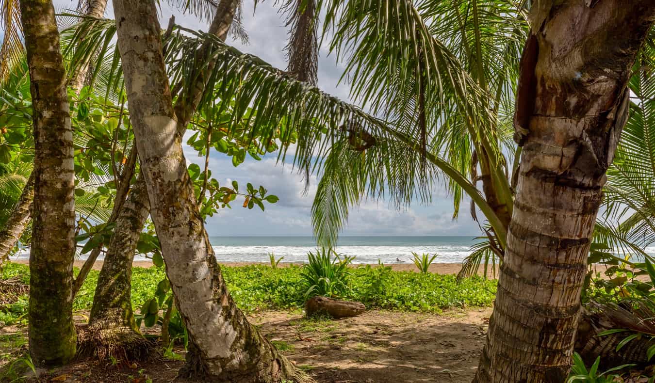 The coast of Costa Rica as seen through the trees on the beach of Punta Uva