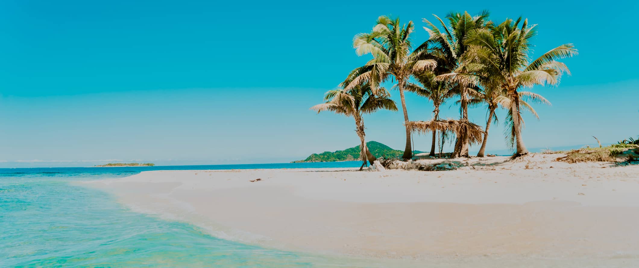 A beautiful beach in Cayos Cochinos, Honduras with white sand and palm trees