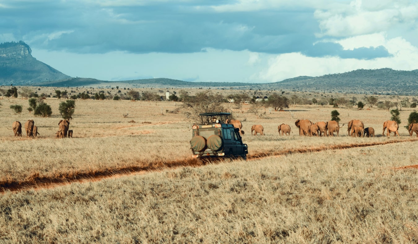 A group of travelers in a jeep together on safari with a tour guide