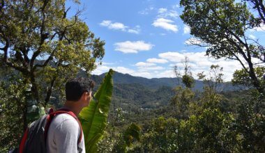 Nomadic Matt looking at the jungle in Madagascar