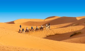 people riding line of camels through the desert