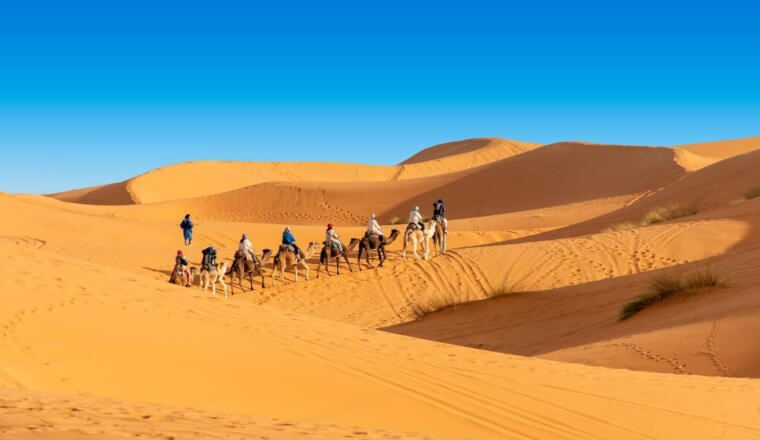 The Best Tour Companies in Morocco