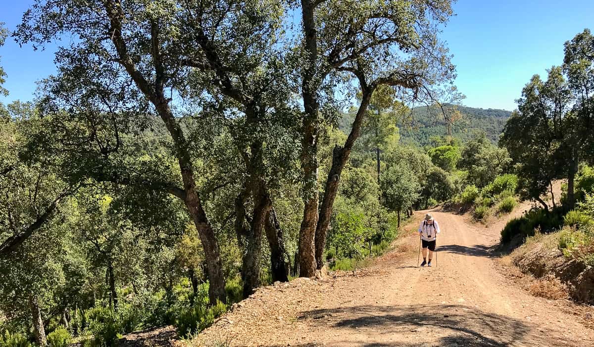 A retired senior hiking on a dirt road