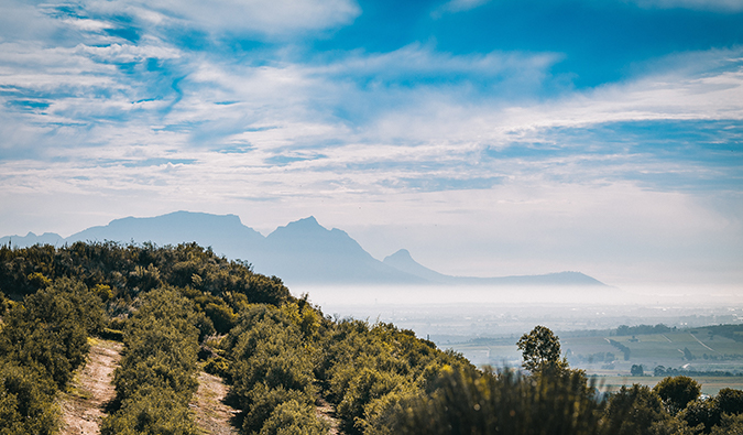 A lush, sunny vineyard with wine tastings in South Africa