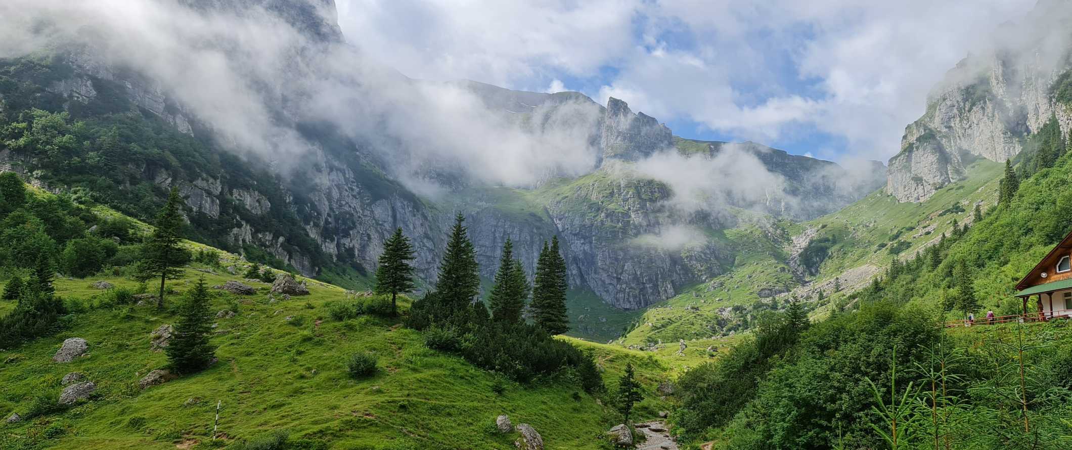 The Carpathian mountains covered in fog, in Ukraine