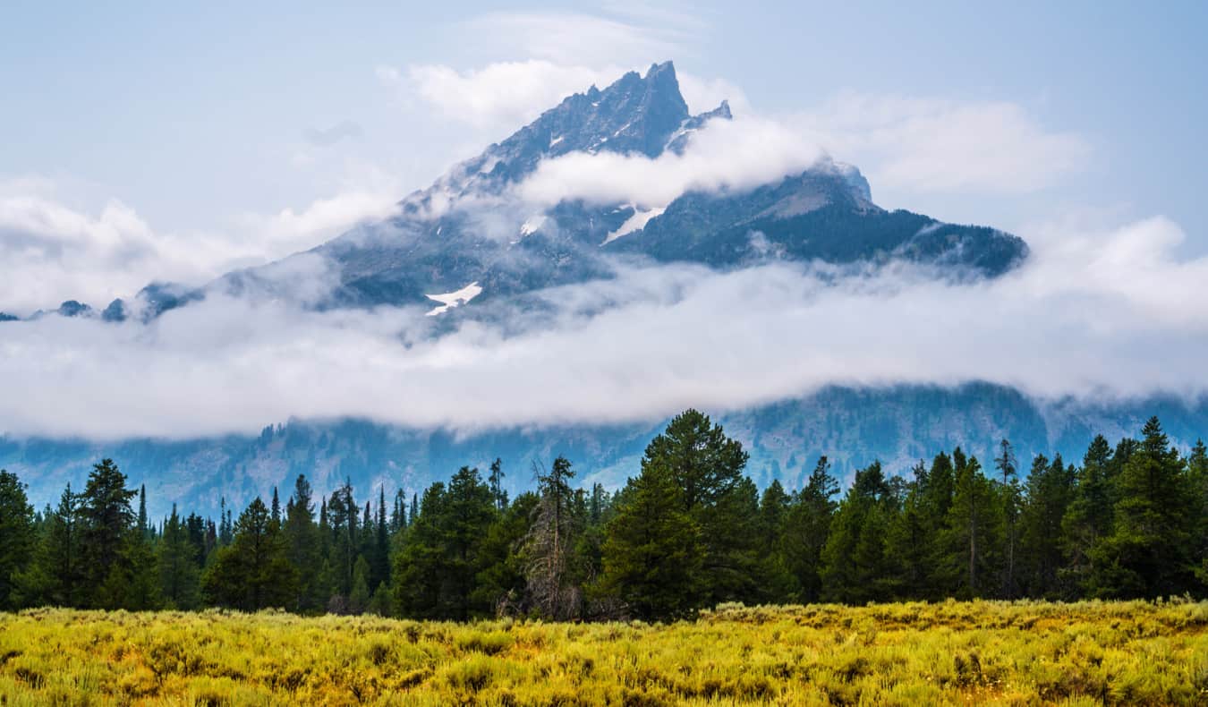 The stunning fields and forests of Yellowstone National Park, USA